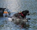 20130825-cwd-0441