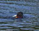 20130825-cwd-0445
