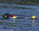 20130825-cwd-0454