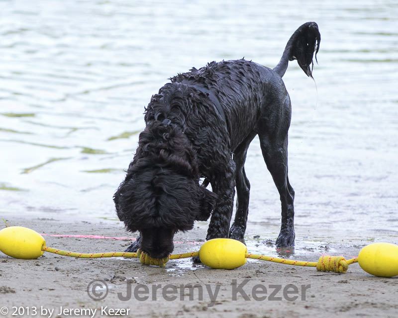 20130825-cwd-0033.jpg