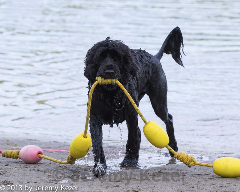 20130825-cwd-0034.jpg