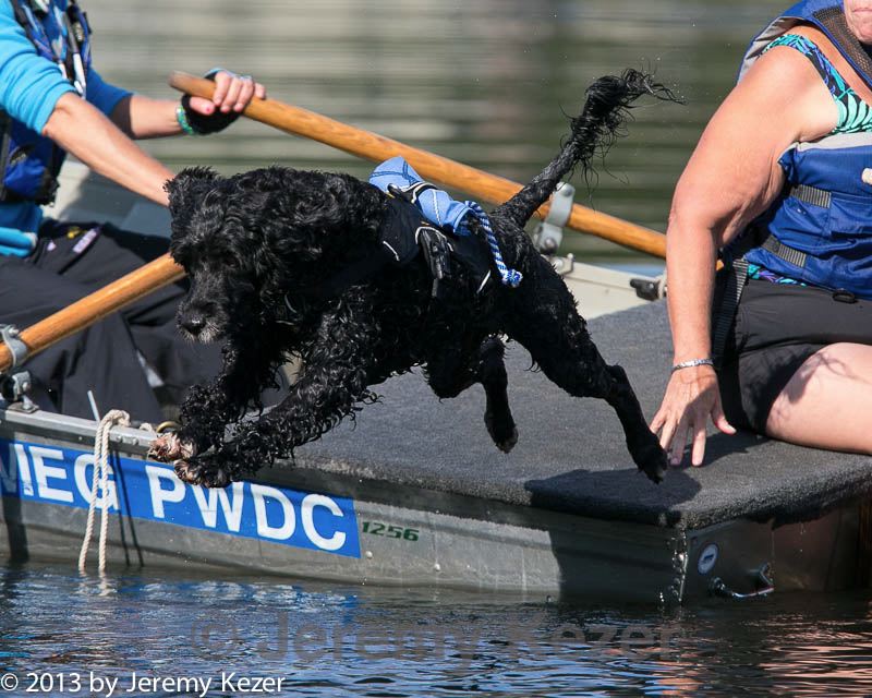 20130825-cwd-0067.jpg