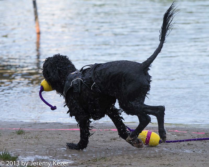 20130825-cwd-0092.jpg