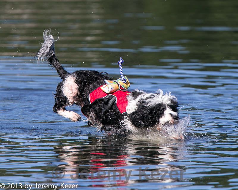 20130825-cwd-0322.jpg