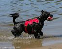 20130825-jwd-0079