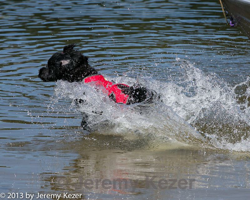 20130825-jwd-0051.jpg