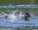20130825-wwd-0037