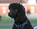 20130927-c-0023