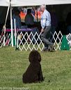 20130928-ob-0028