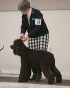 20140301-msda-0369