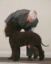 20140301-msda-0371