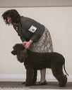 20140301-msda-0372