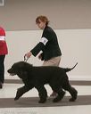 20140301-msda-0379
