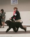 20140301-msda-0382