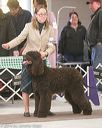 20140301-msda-0387