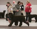 20140301-msda-0395