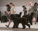 20140301-msda-0396