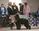 20140301-msda-0398