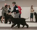 20140301-msda-0401