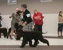 20140301-msda-0402