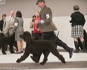20140301-msda-0416