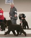 20140301-msda-0420