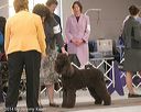 20140301-msda-0428