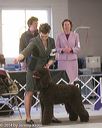 20140301-msda-0440