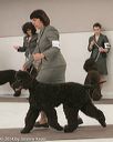 20140301-msda-0461