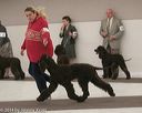 20140301-msda-0466