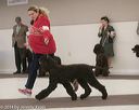 20140301-msda-0468