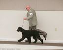 20140301-msda-0224