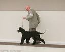 20140301-msda-0229