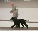 20140301-msda-0232