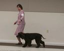 20140301-msda-0255