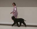 20140301-msda-0257