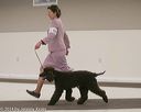 20140301-msda-0261