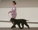 20140301-msda-0263