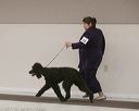 20140301-msda-0278