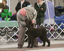 20140301-msda-0280