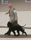 20140301-msda-0283