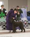 20140301-msda-0294