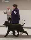 20140301-msda-0300
