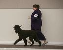 20140301-msda-0303