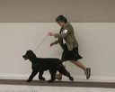 20140301-msda-0307