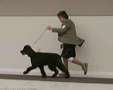 20140301-msda-0311