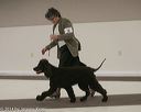 20140301-msda-0314