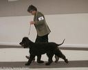 20140301-msda-0317