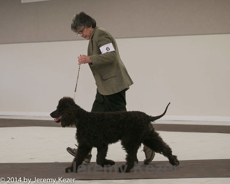 20140301-msda-0317.jpg