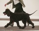 20140301-msda-0322